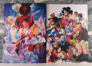 Street Fighter 30th Anniversary Collection - Edition Collector (26)
